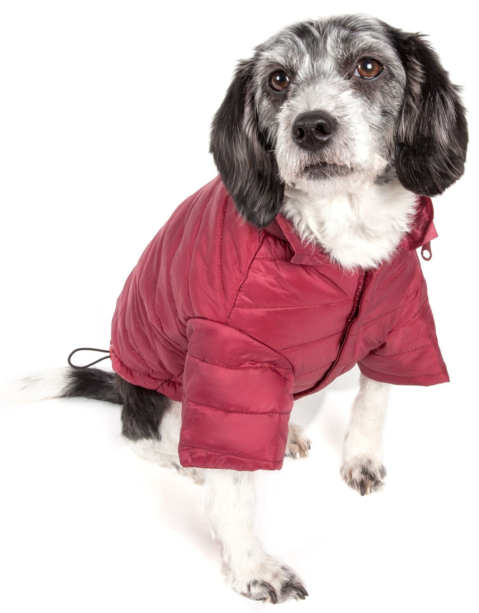 Lightweight Adjustable 'Sporty Avalanche' Pet Coat - Hipster Pugs Dog Duds