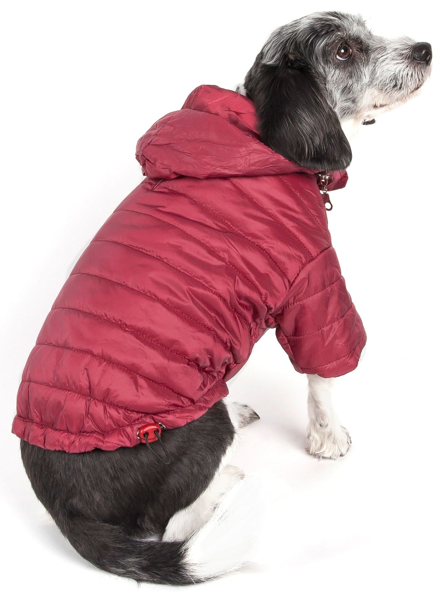 Lightweight Adjustable 'Sporty Avalanche' Pet Coat - Hipster Pugs Dog Duds