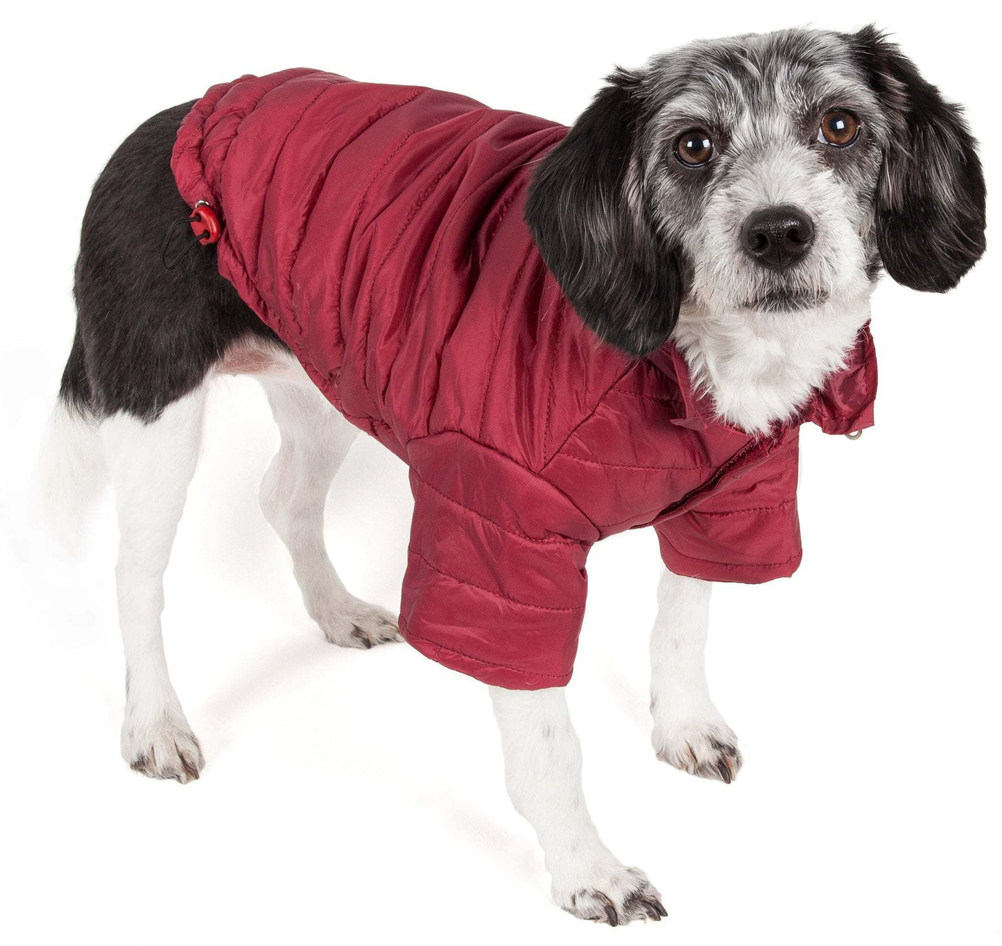 Lightweight Adjustable 'Sporty Avalanche' Pet Coat - Hipster Pugs Dog Duds